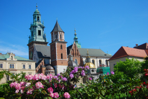 кафе в Польше Краков кондитерская